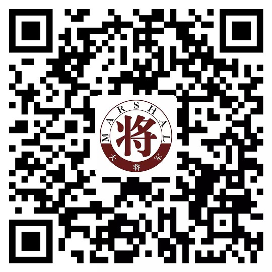 攻略丨了解多姿多彩的瓷磚紋理，才能裝出時(shí)尚有范的美好生活！
(圖17)